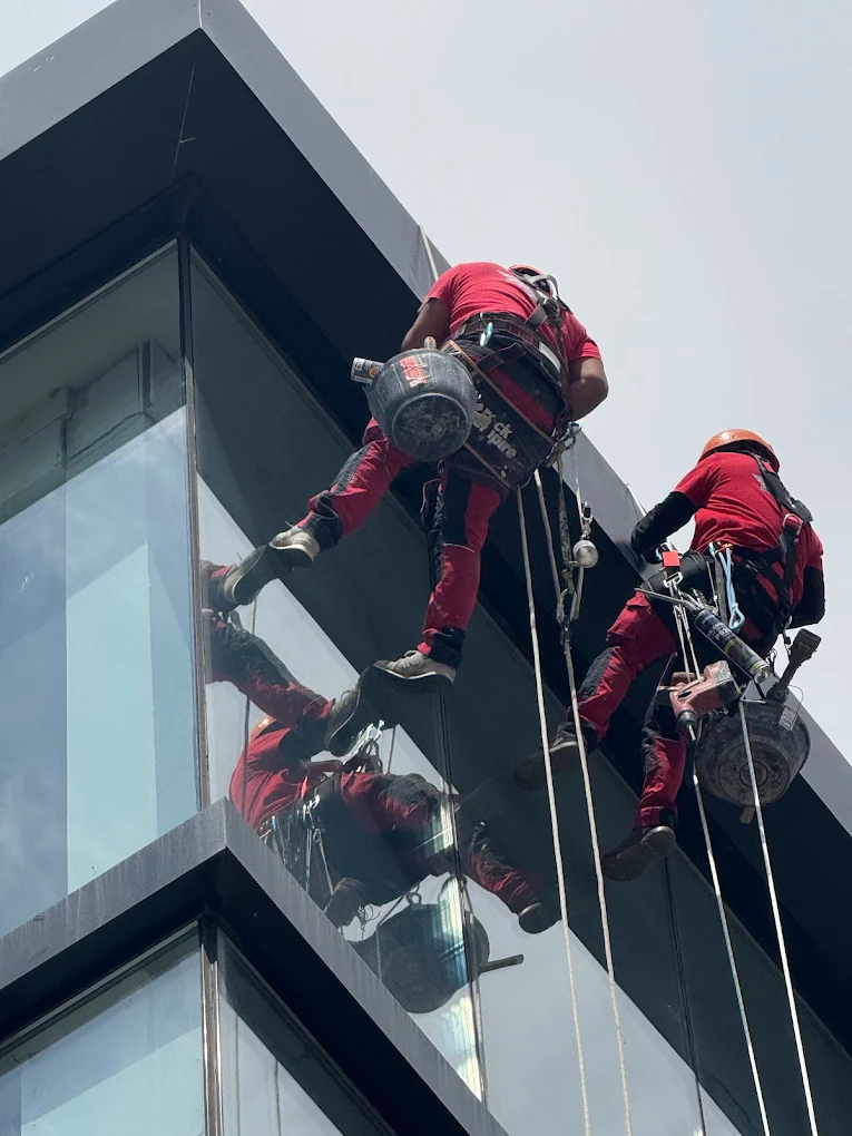 Trabajos Verticales